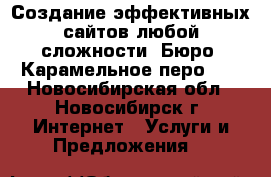 Создание эффективных сайтов любой сложности. Бюро «Карамельное перо»   - Новосибирская обл., Новосибирск г. Интернет » Услуги и Предложения   